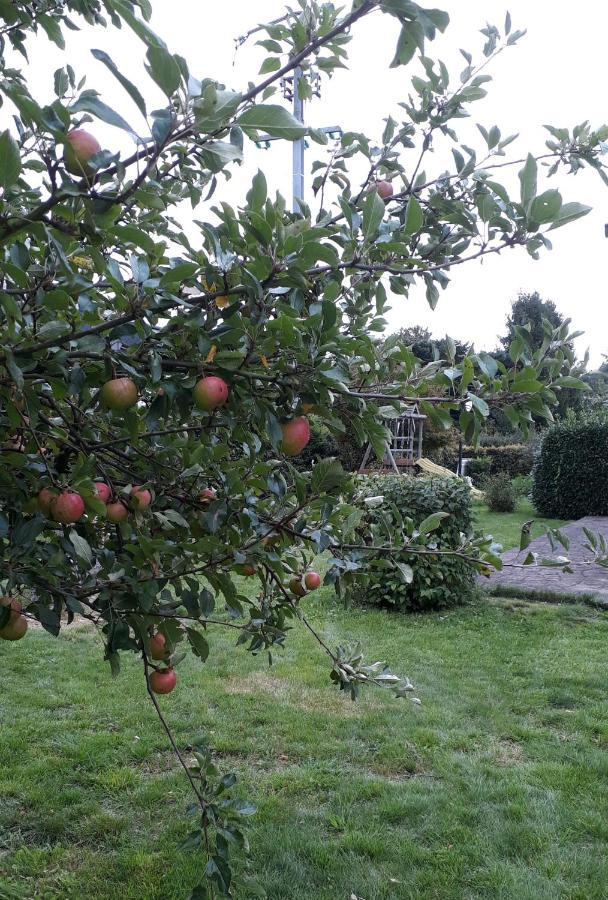 Villa Franzen Derenbach ภายนอก รูปภาพ